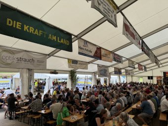 2024 Sonntag