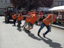 Traktorziehen in Eferding